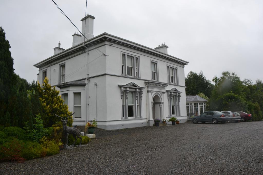 Ballinwillin House Mitchelstown Bagian luar foto