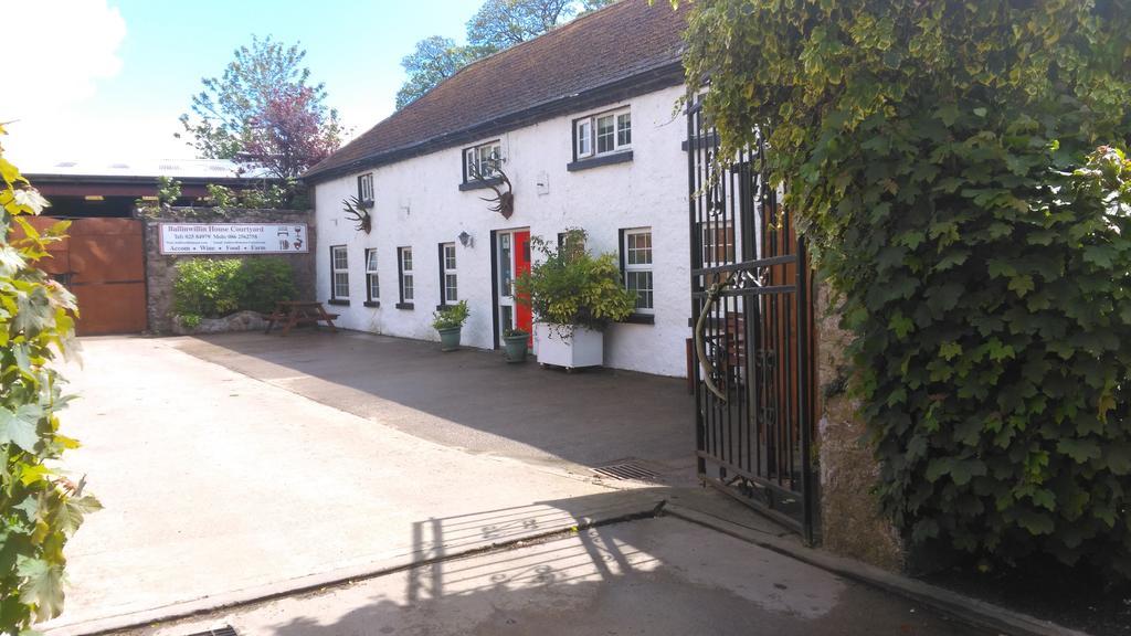 Ballinwillin House Mitchelstown Bagian luar foto